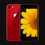 iPhone 8 Display Reparatur